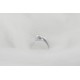 sterling silver beluga whale ring